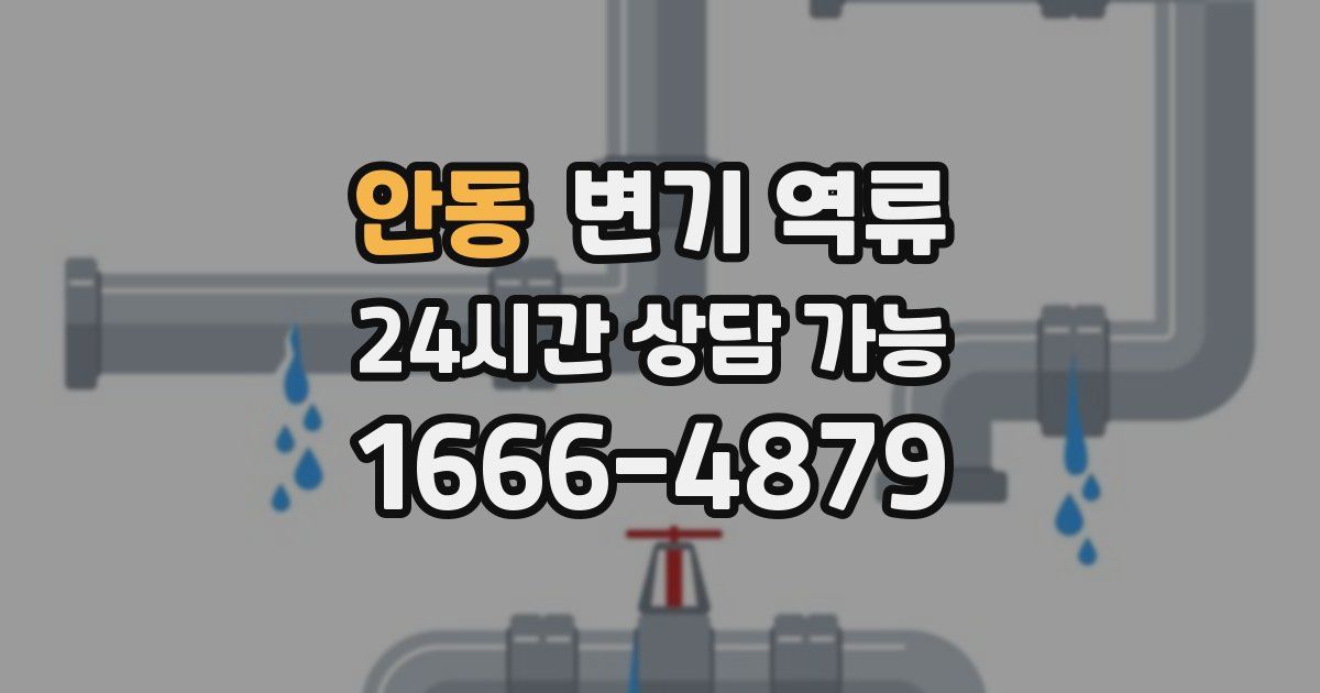 안동 변기 역류