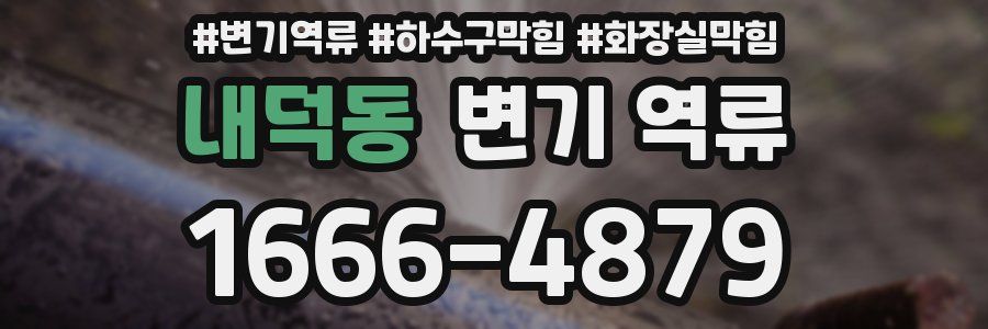 내덕동 변기 역류