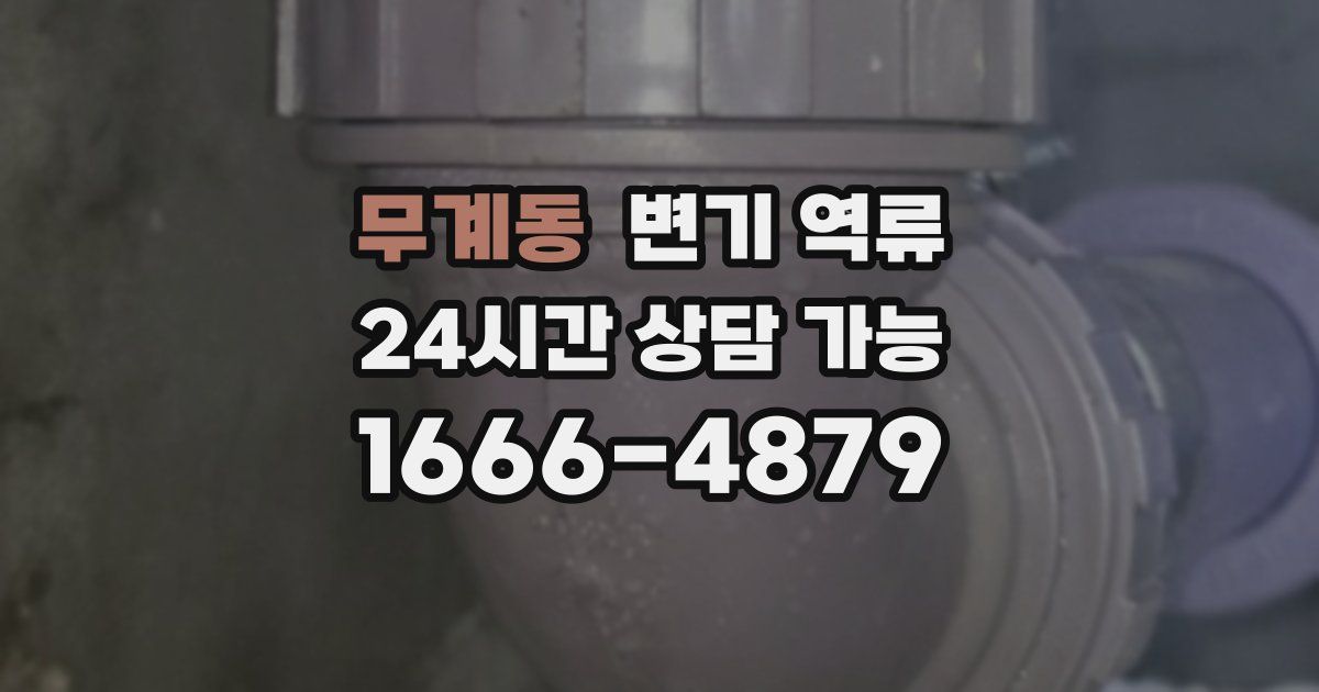 무계동 변기 역류