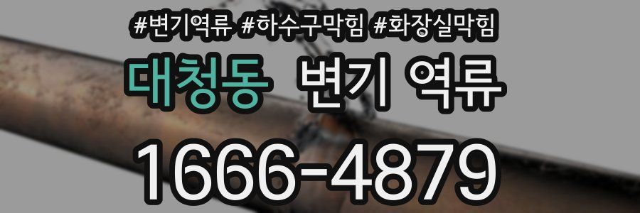 대청동 변기 역류