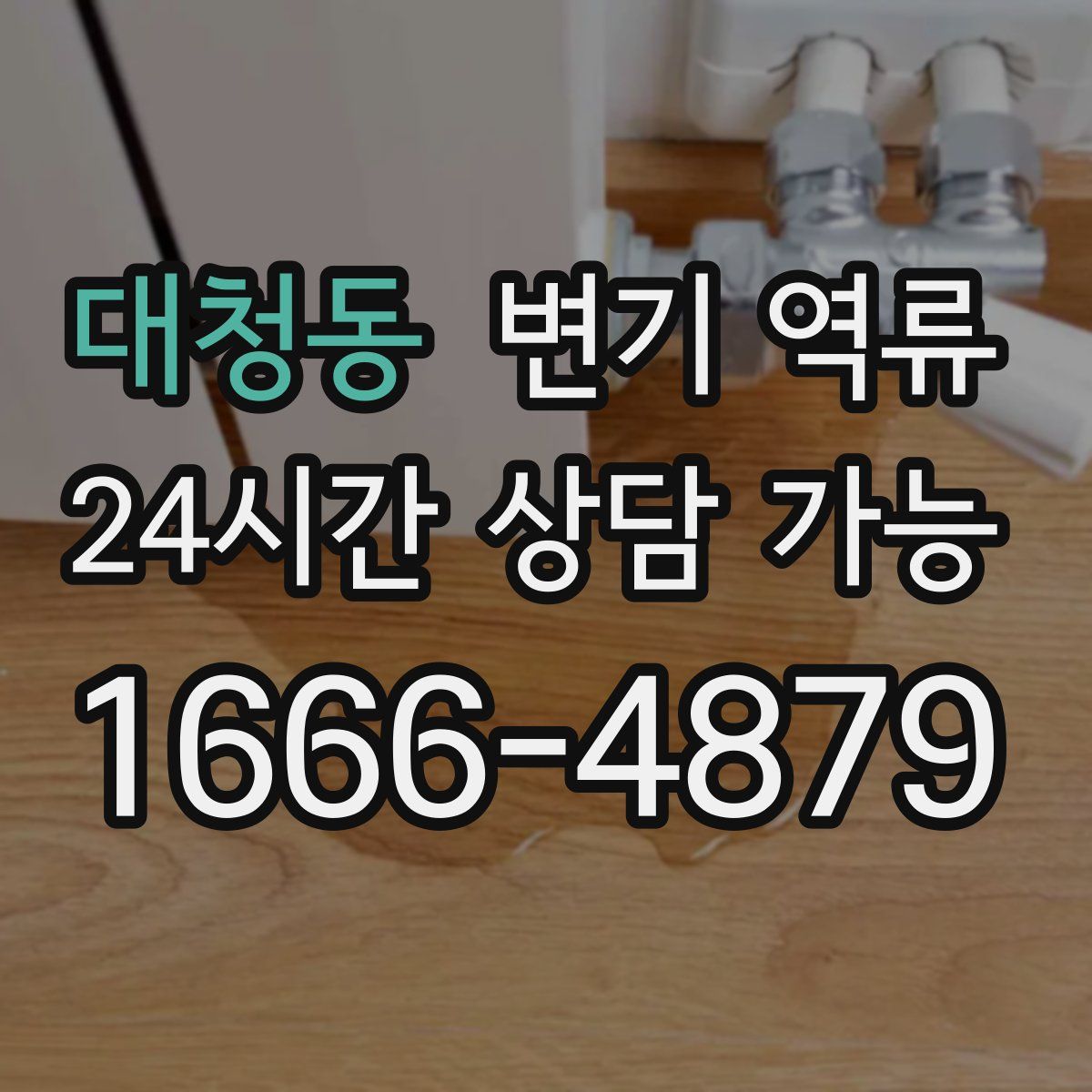 대청동 변기 역류