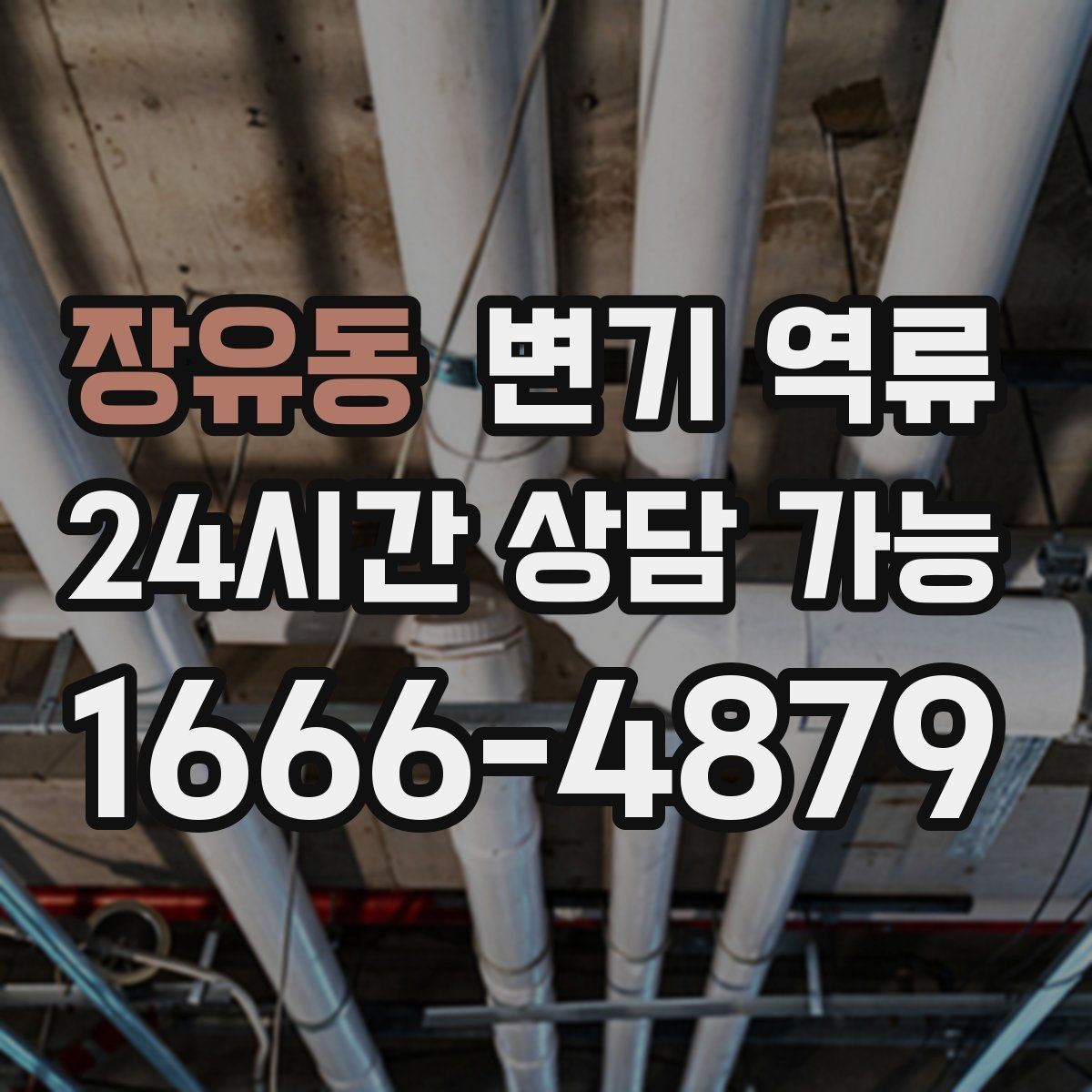 장유동 변기 역류 장갑·마스크 착용이 필요한 이유