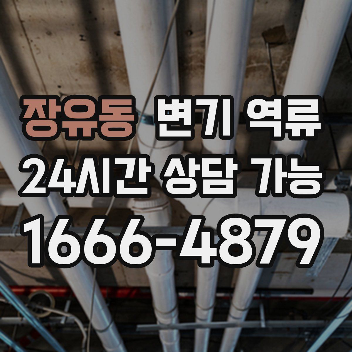 장유동 변기 역류