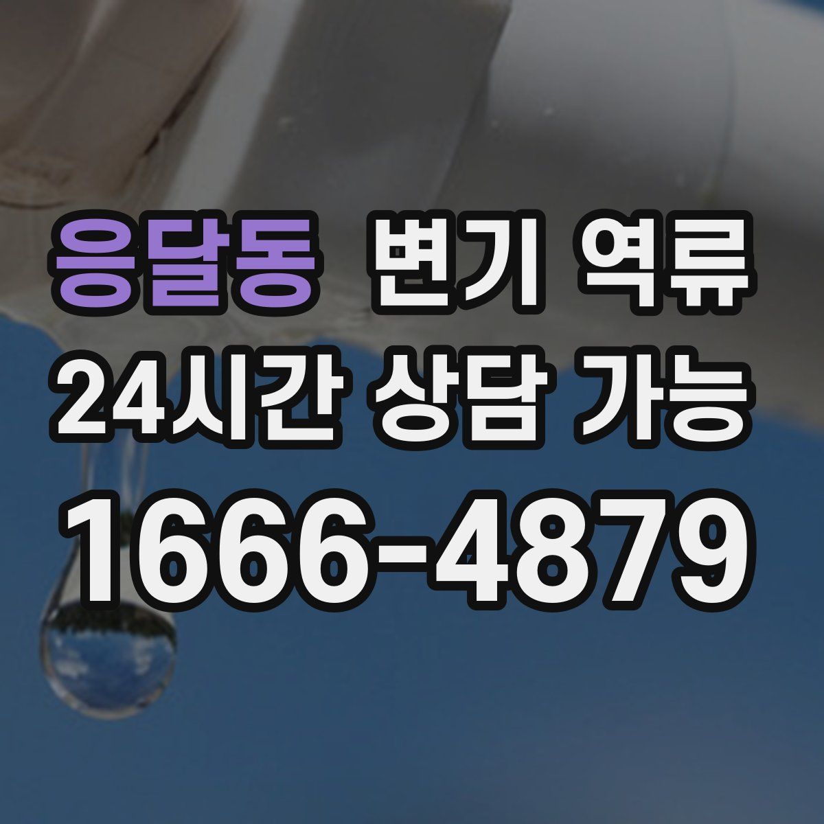 응달동 변기 역류