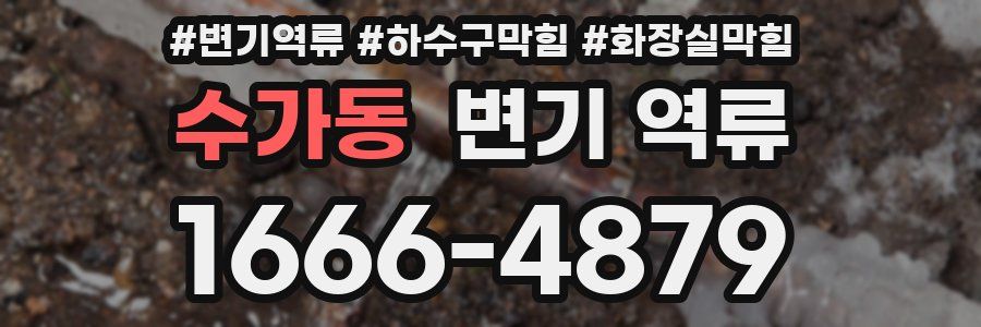 수가동 변기 역류