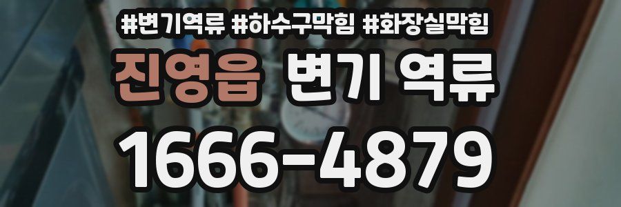 진영읍 변기 역류