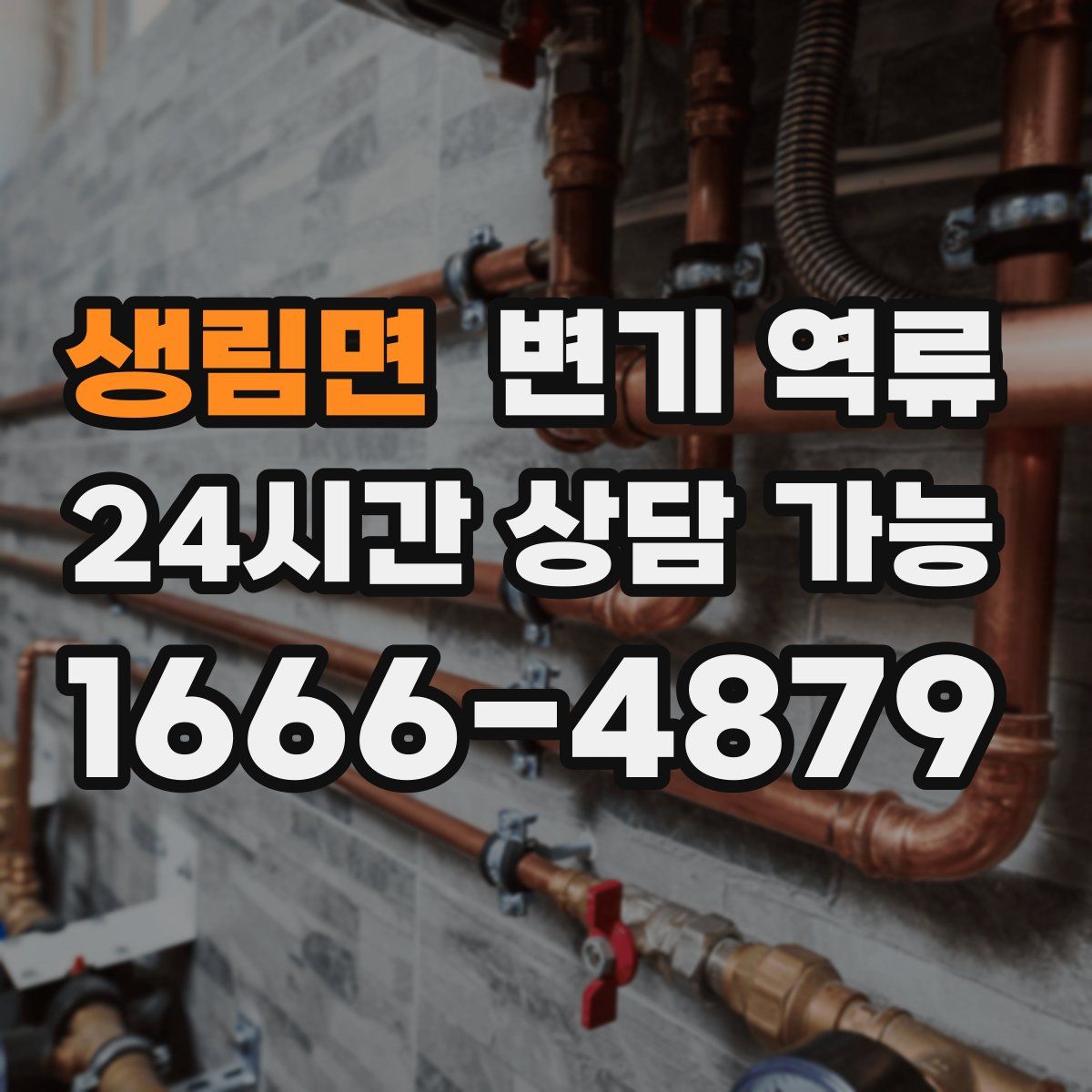 생림면 변기 역류