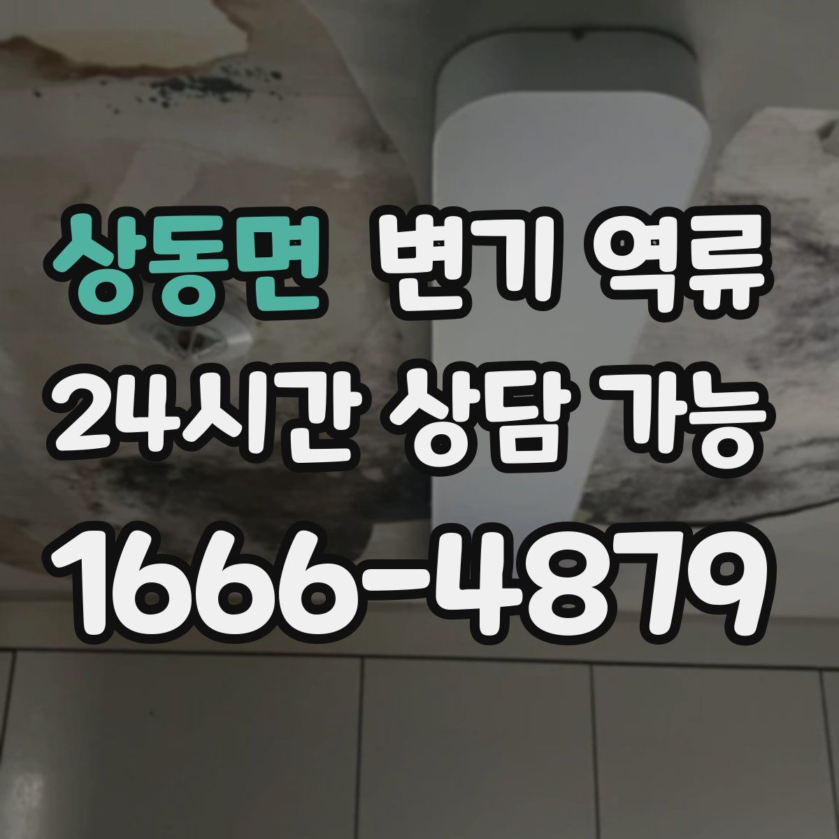 상동면 변기 역류