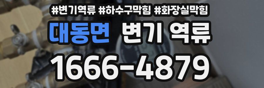 대동면 변기 역류