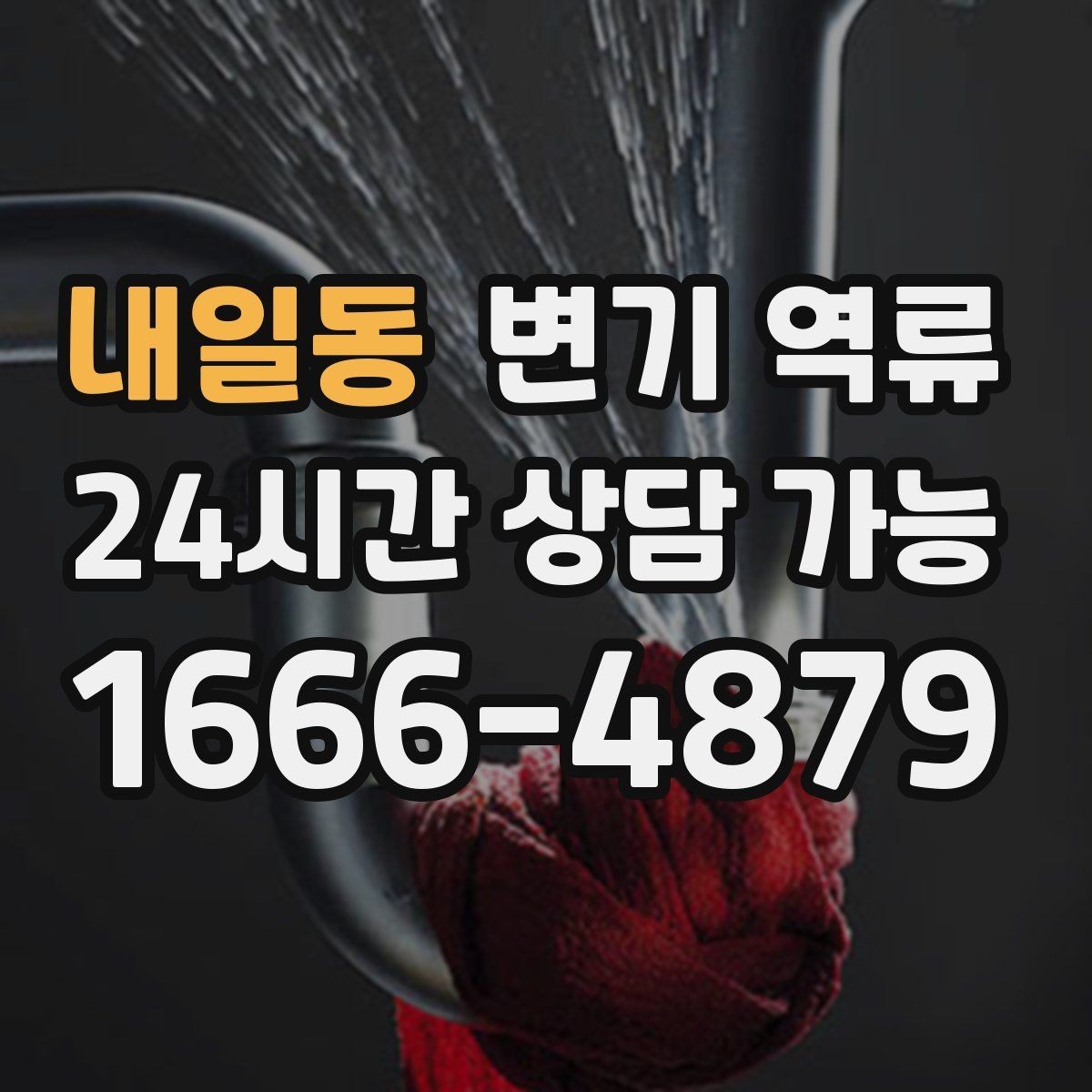 내일동 변기 역류 세대 내부 막힘일 때 조심해야 할 행동