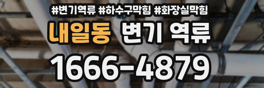 내일동 변기 역류