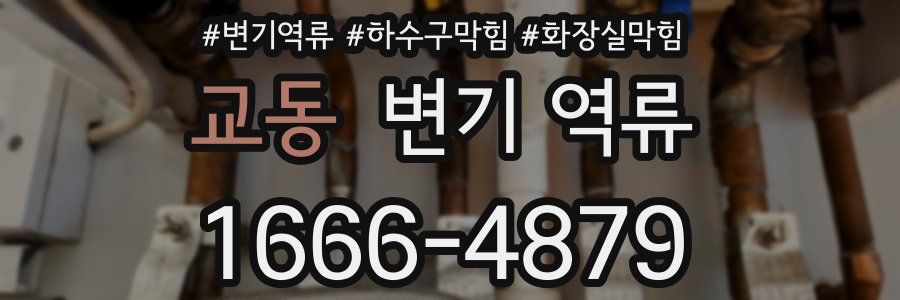 교동 변기 역류