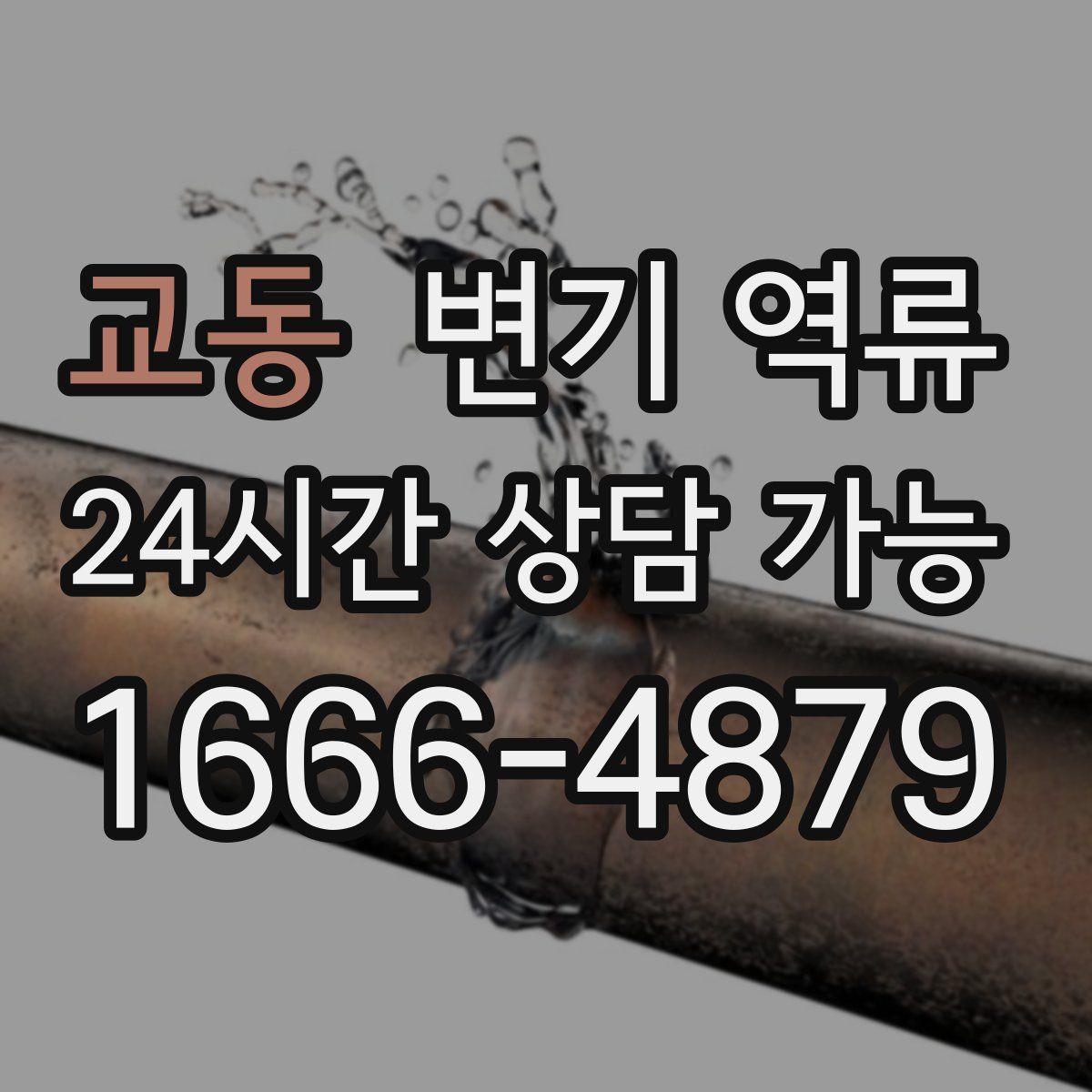 교동 변기 역류