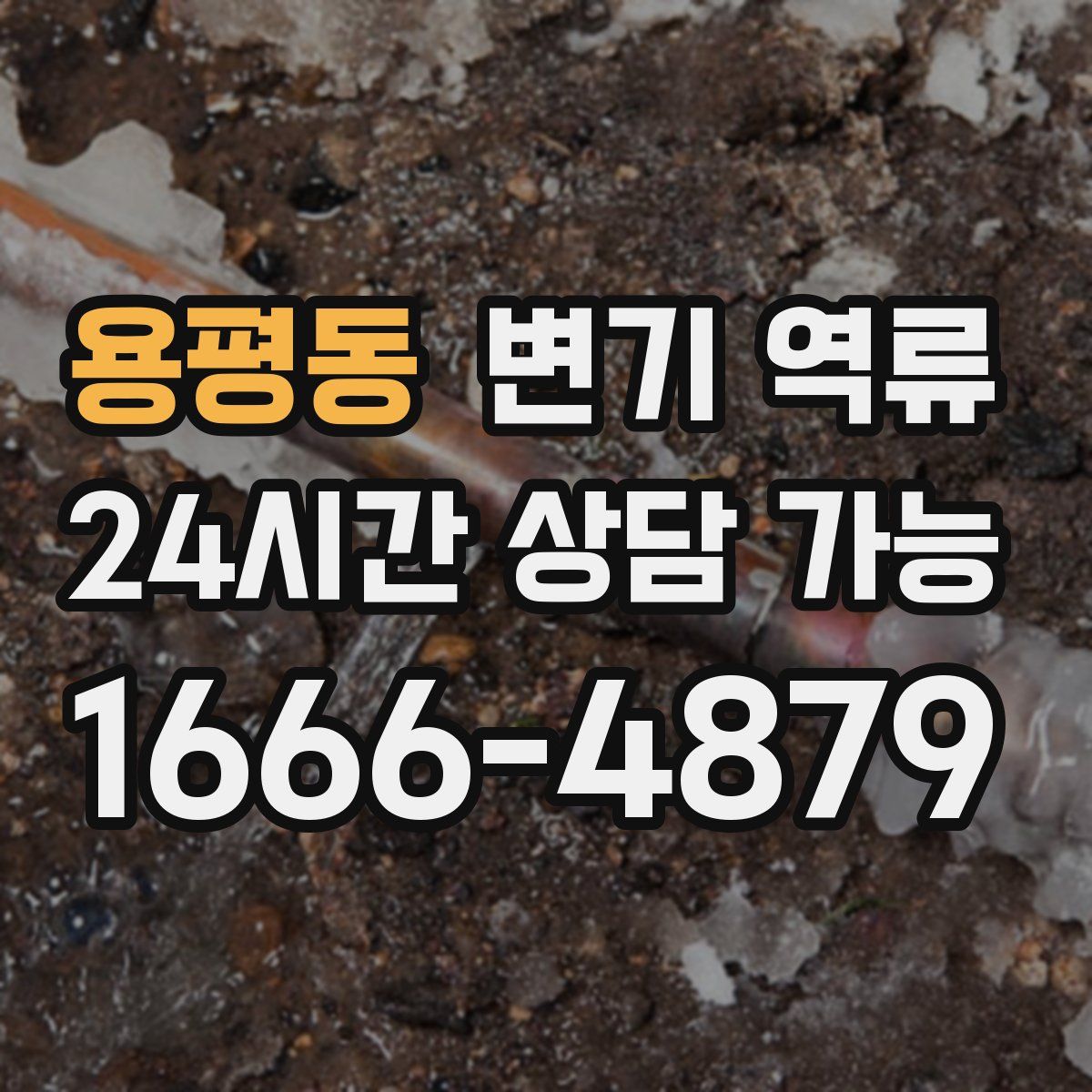 용평동 변기 역류