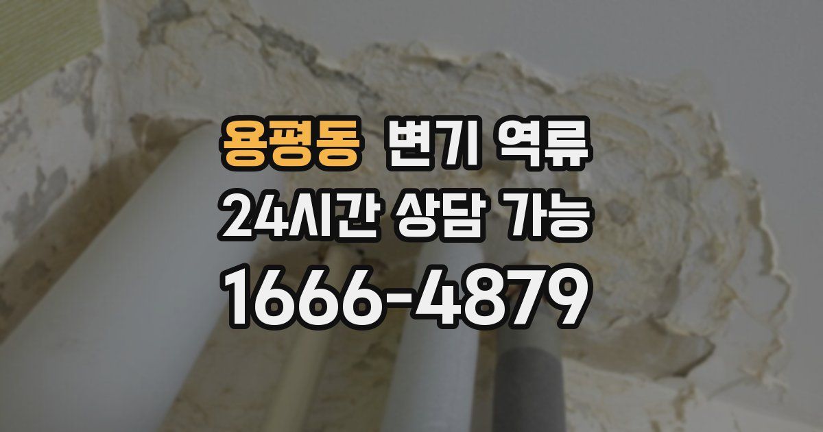 용평동 변기 역류