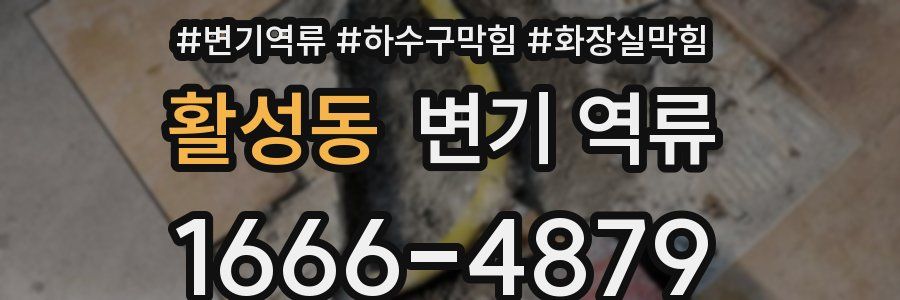 활성동 변기 역류