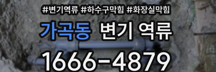가곡동 변기 역류