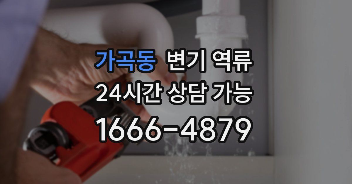 가곡동 변기 역류