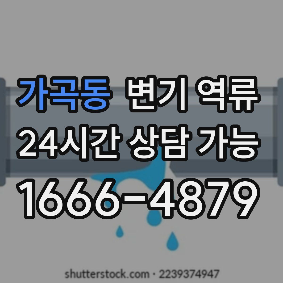 가곡동 변기 역류