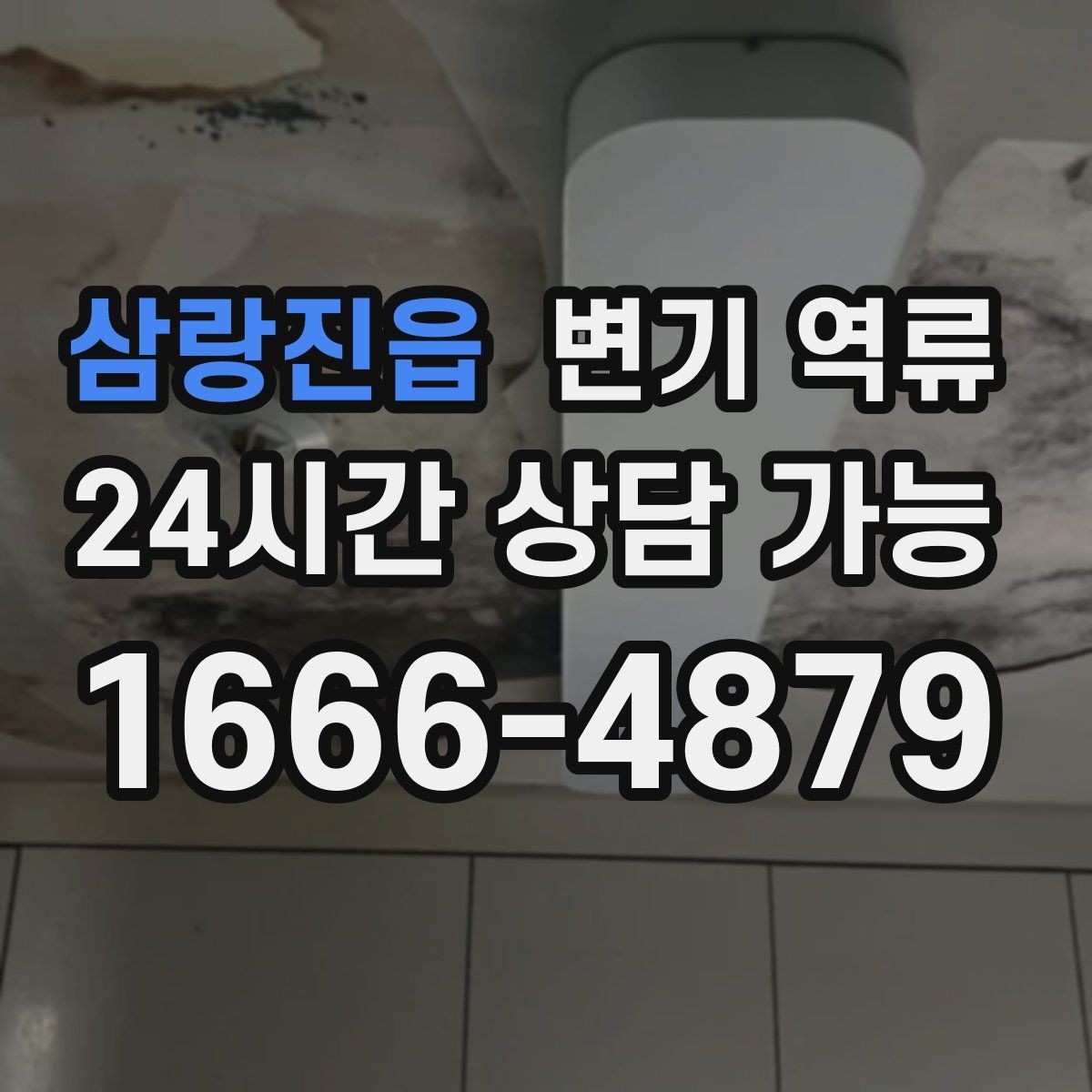 삼랑진읍 변기 역류 욕실 바닥 배수구를 먼저 확인해야 하는 이유
