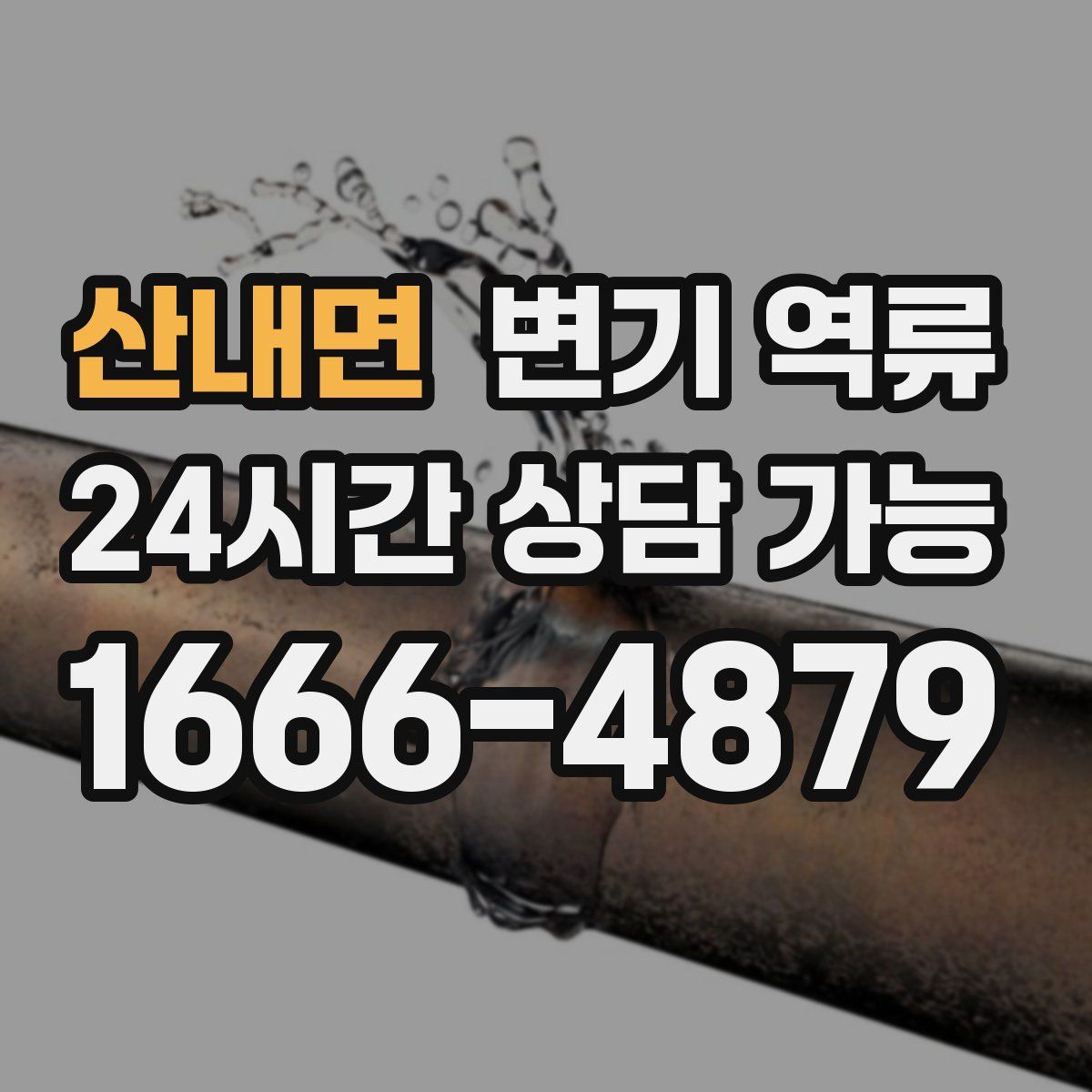 산내면 변기 역류