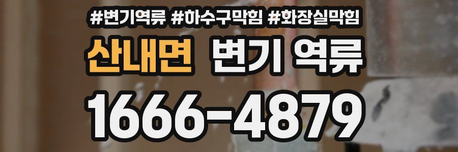 산내면 변기 역류