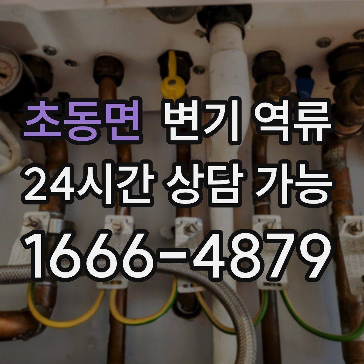 초동면 변기 역류