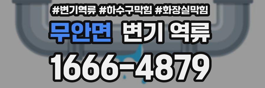 무안면 변기 역류