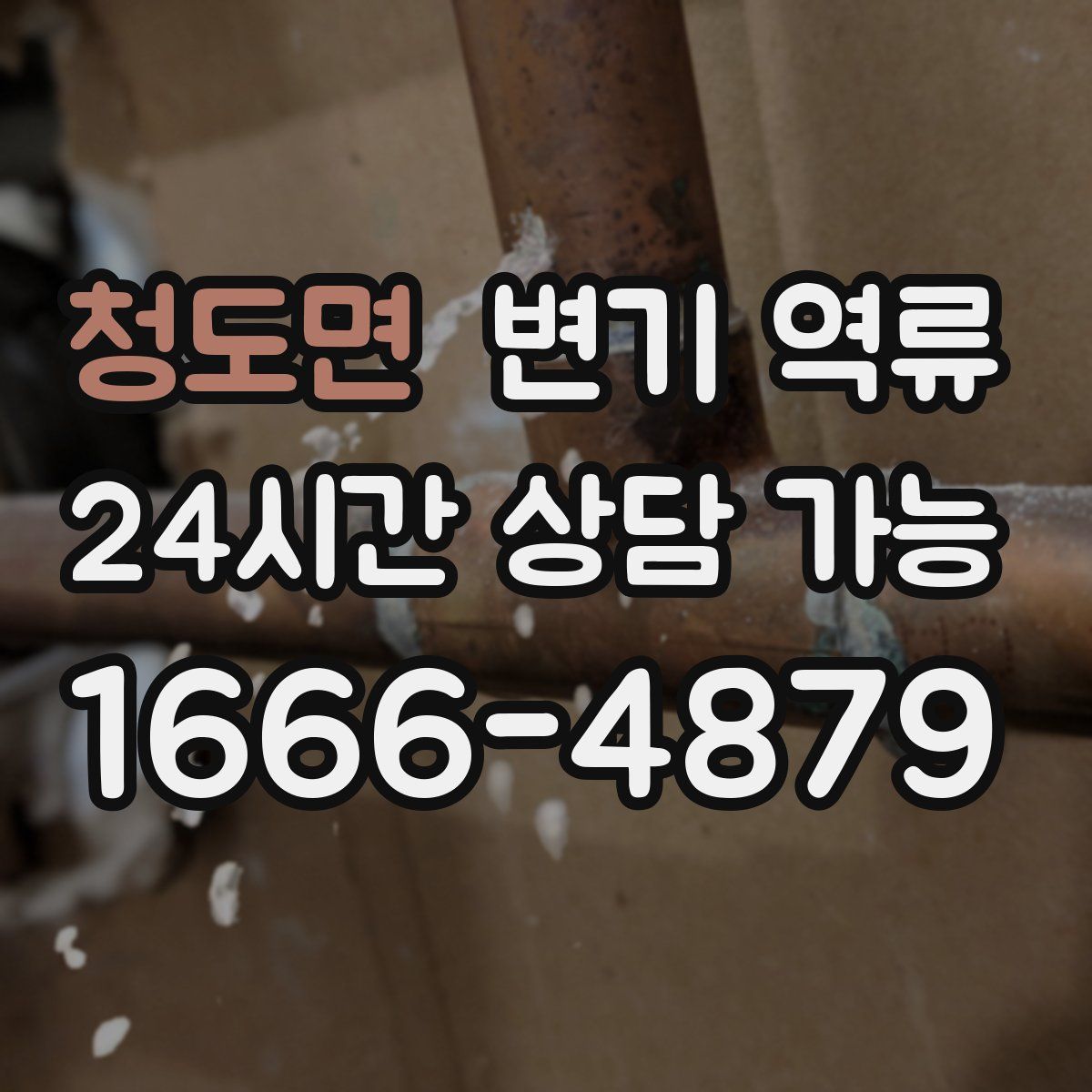 청도면 변기 역류