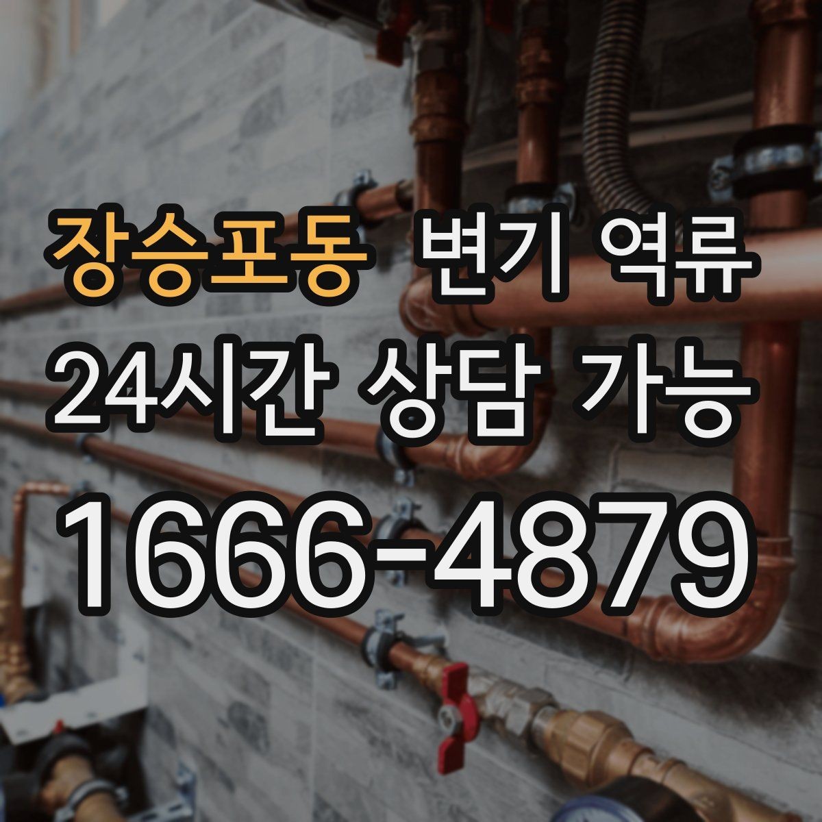 장승포동 변기 역류 꾸르륵 소리와 함께 올라올 때 의심할 것