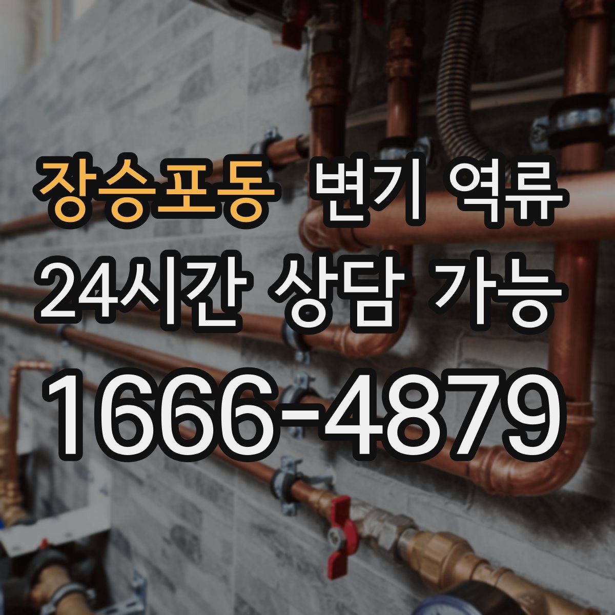 장승포동 변기 역류