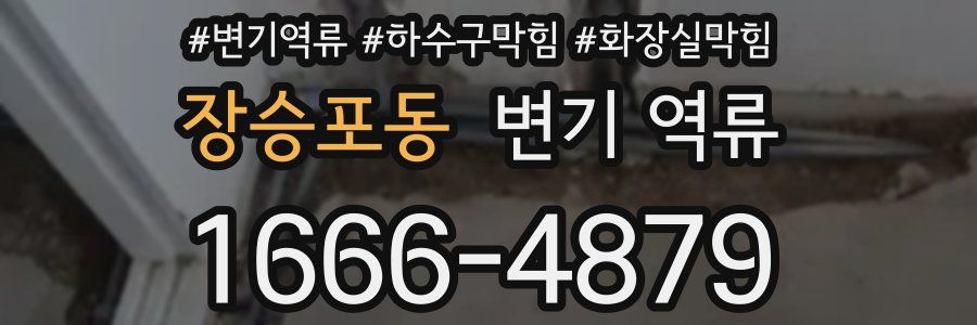 장승포동 변기 역류