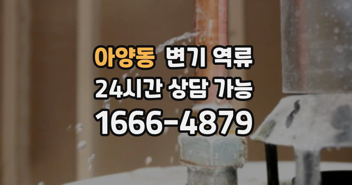 아양동 변기 역류