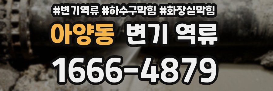 아양동 변기 역류