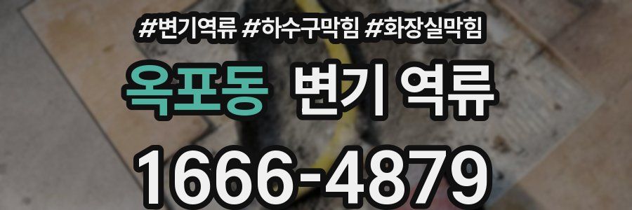 옥포동 변기 역류