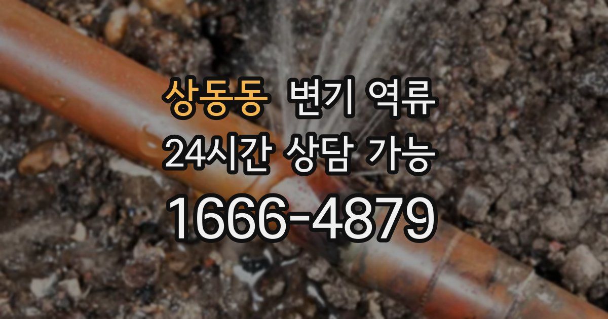 상동동 변기 역류