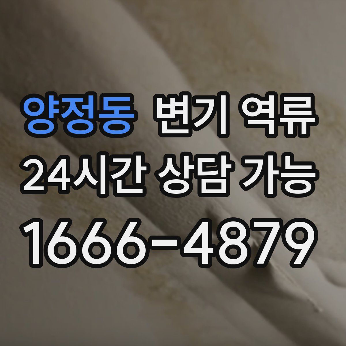 양정동 변기 역류