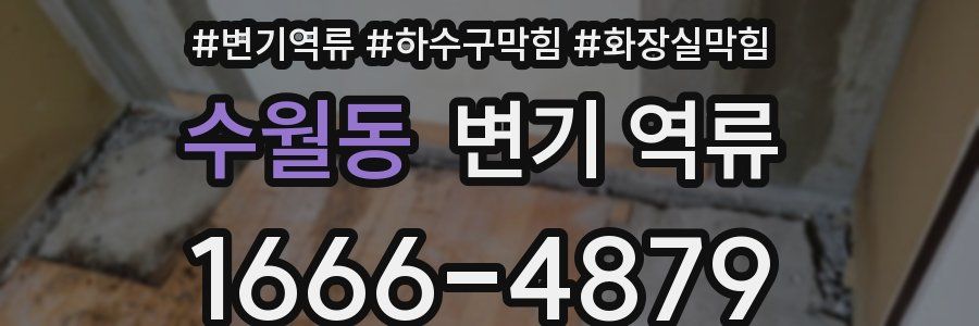 수월동 변기 역류