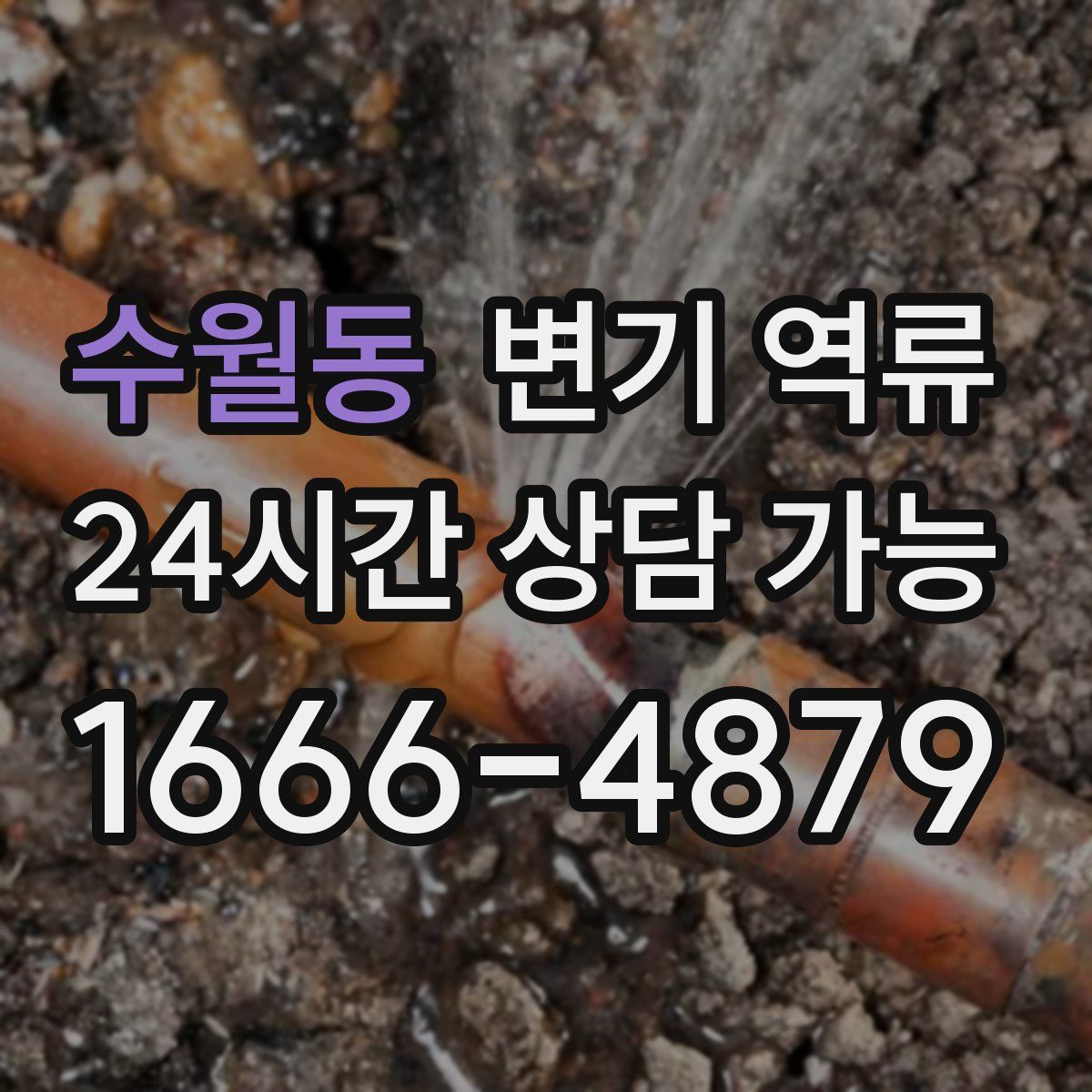 수월동 변기 역류