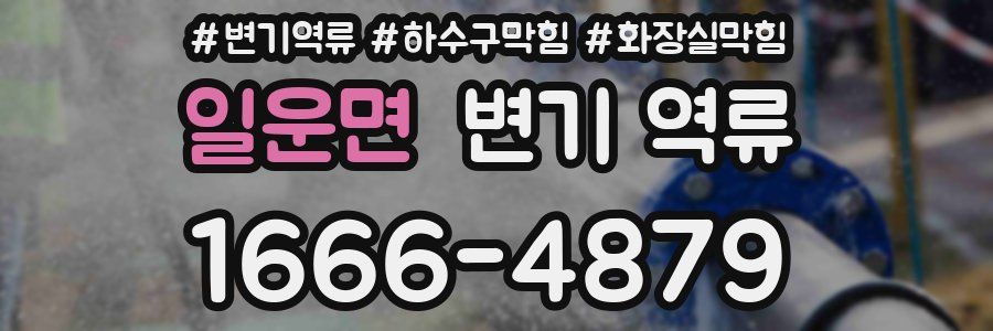 일운면 변기 역류