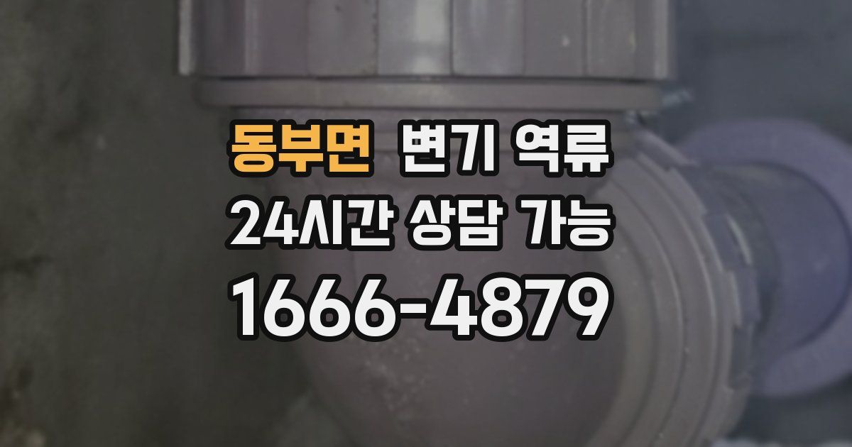 동부면 변기 역류