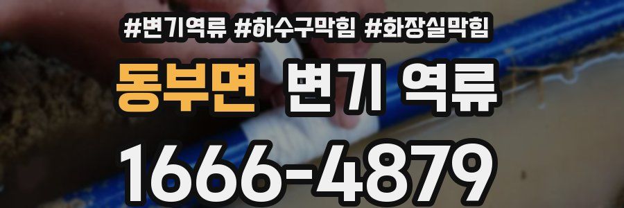 동부면 변기 역류