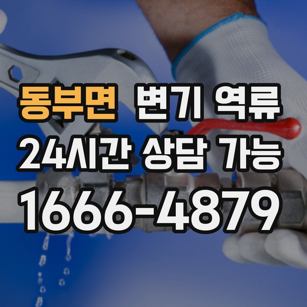 동부면 변기 역류