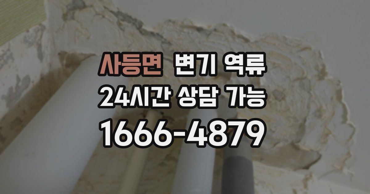 사등면 변기 역류