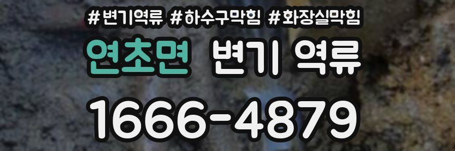 연초면 변기 역류