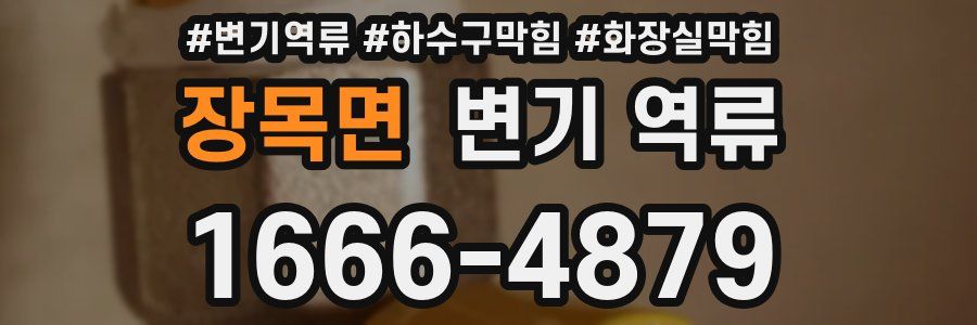 장목면 변기 역류