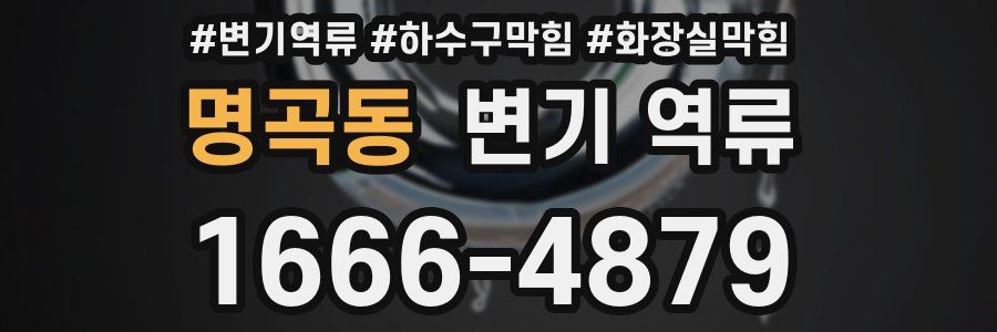 명곡동 변기 역류