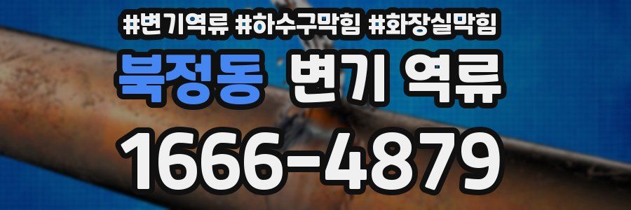 북정동 변기 역류