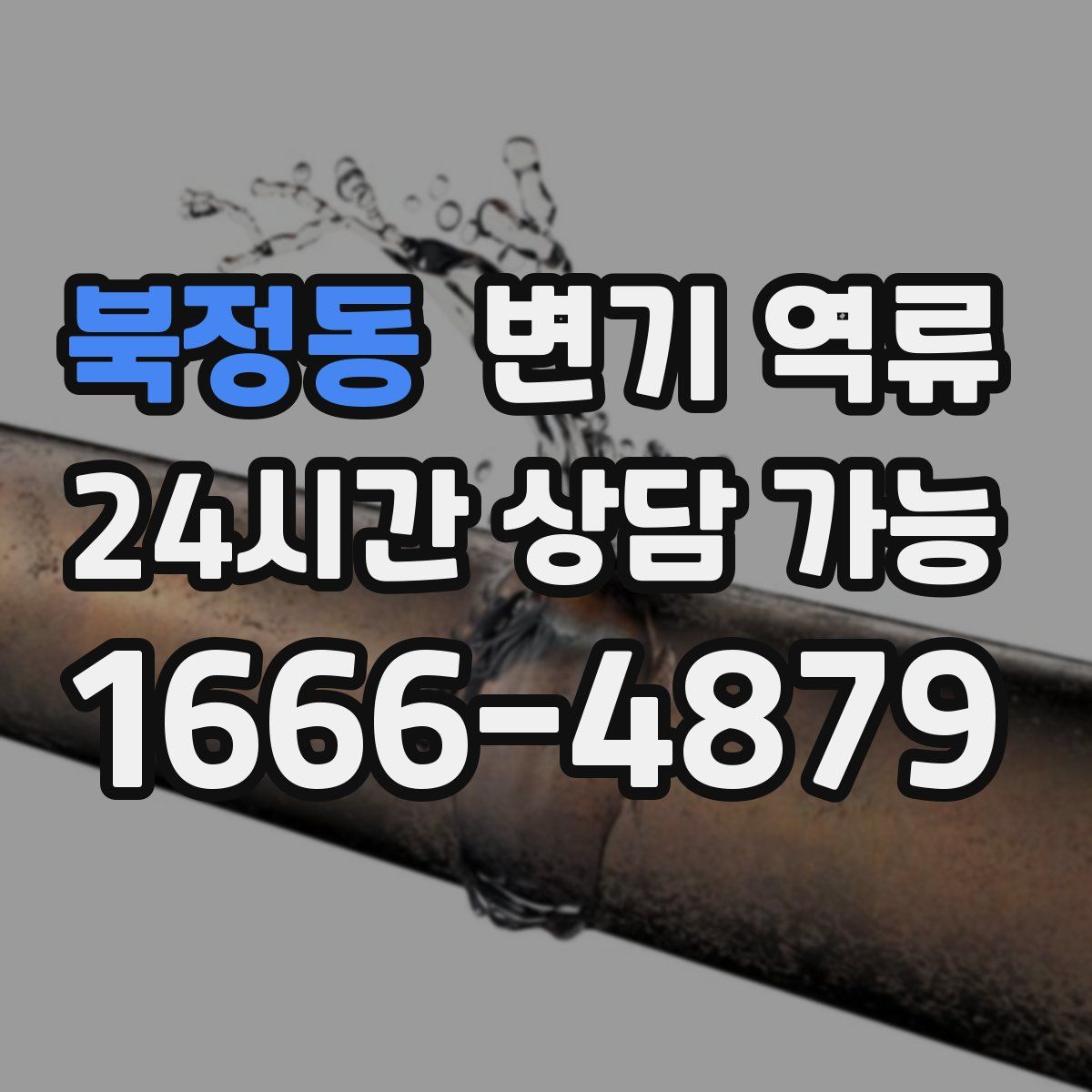 북정동 변기 역류