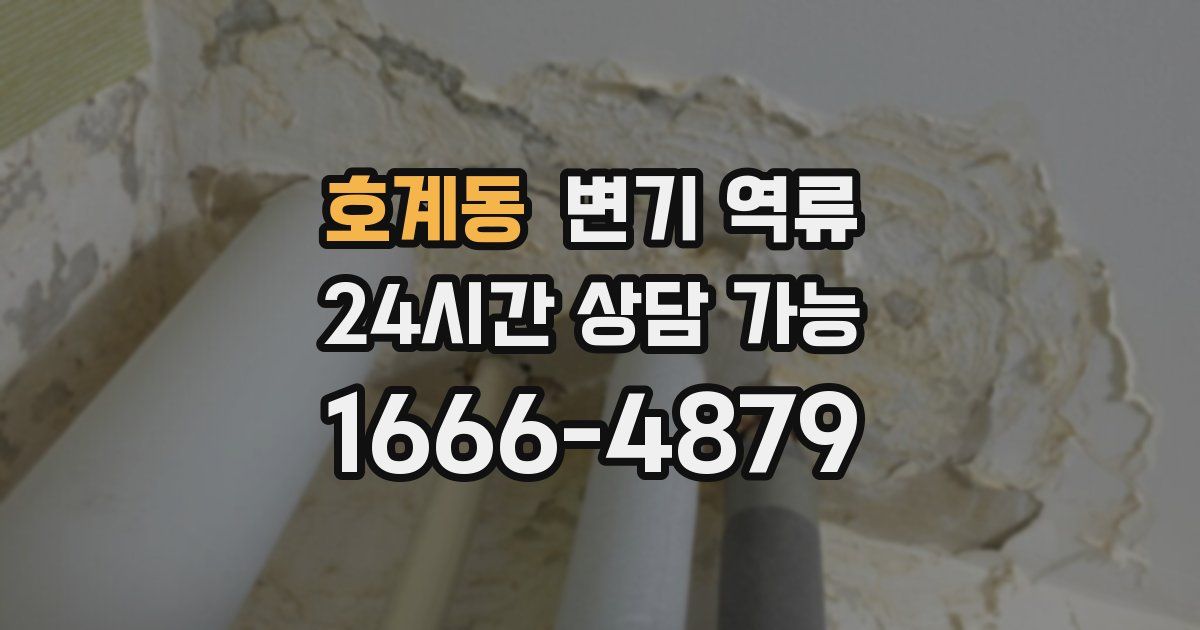 호계동 변기 역류